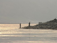 s-L008_resize.jpg